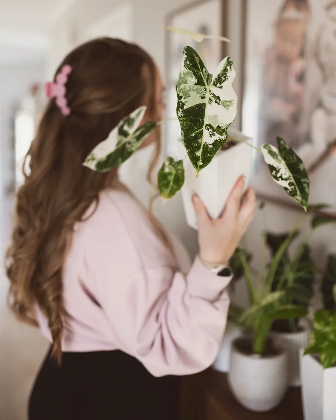 The grower, among the plants